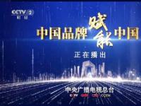 中国品牌赋能中国经济|央视财经“对话”吉利总裁安聪慧