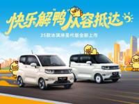 奇瑞2025款冰淇淋甜蜜上市，1.69万起，太超值！